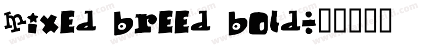 Mixed Breed Bold字体转换